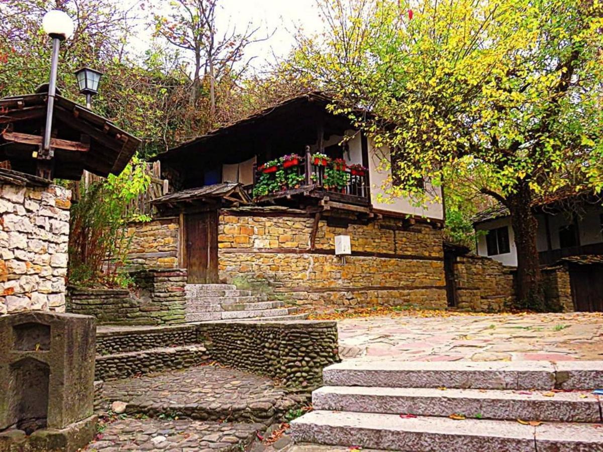The Tinkov House In 로베치 외부 사진