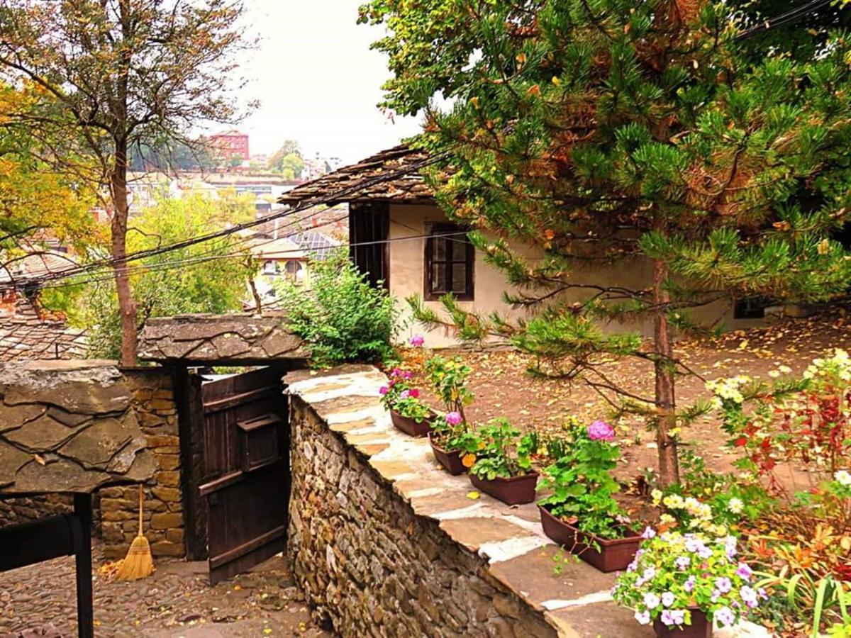 The Tinkov House In 로베치 외부 사진